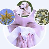 Капли Аллегард устраняют аллергию вне зависимости от причины