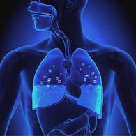Капли Immunity для иммунитета нормализуют работу дыхательной и других жизненно важных систем